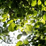 酒店 Les D'ostende