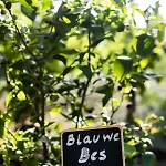 Les D'ostende 酒店