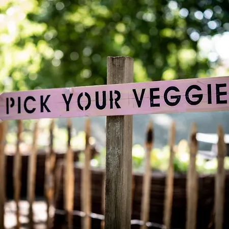 酒店 Les D'ostende 4*