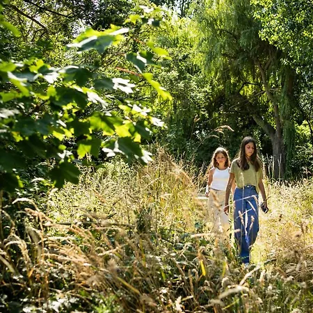 Les D'ostende Oostende