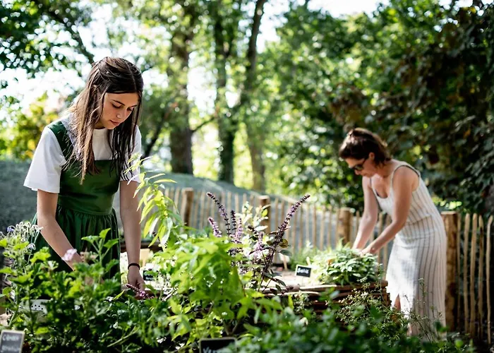 Les D'ostende Ostend