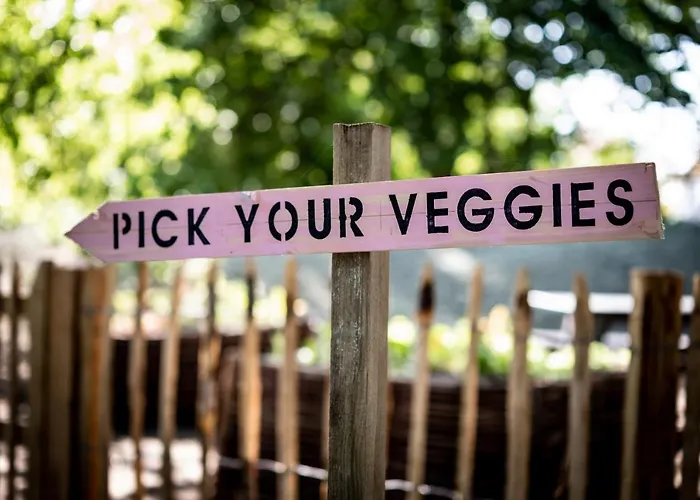 Hotel Les D'ostende 4*