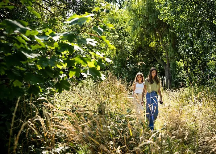 Les D'ostende Ostend