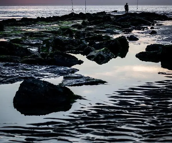 Les D'ostende Hotel Ostend