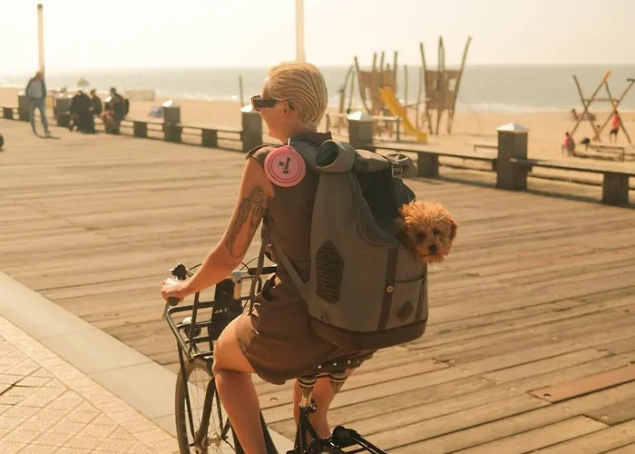 Les D'ostende オステンド