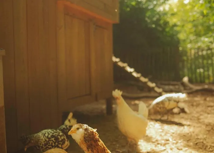 Hotel Les D'ostende Ostend
