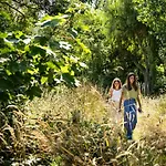 Les D'ostende Ostenda