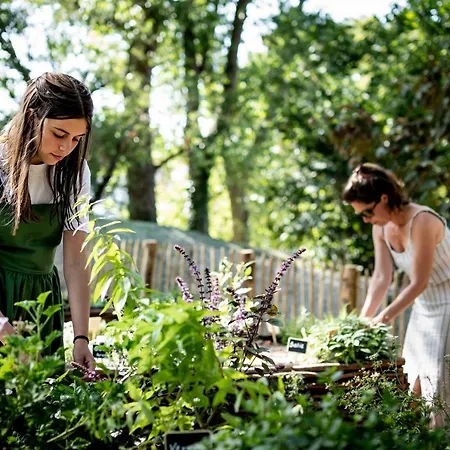 Les D'ostende Ostenda