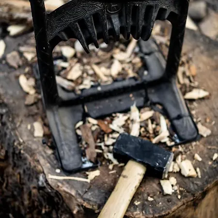 Les D'ostende Ostend