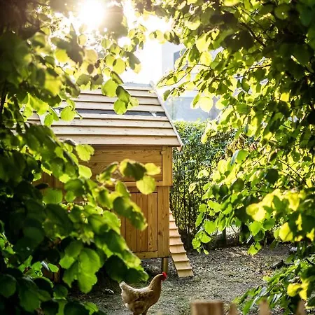 Hotel Les D'ostende Ostend
