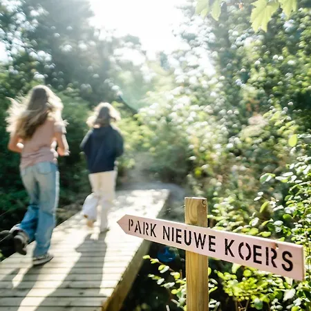 Les D'ostende 4* Ostenda